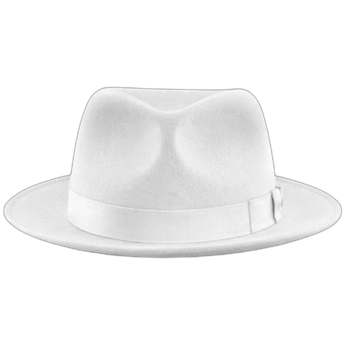 Fedora
